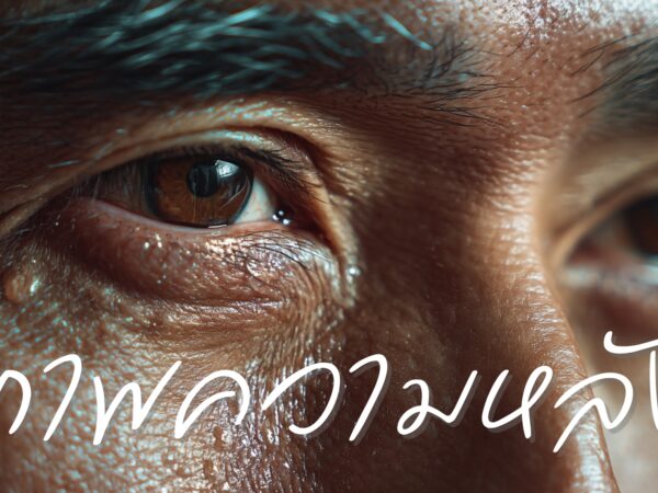 ภาพความหลัง – WOVE